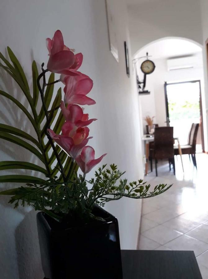Ferienwohnung Haus Cataleya Umag Exterior foto